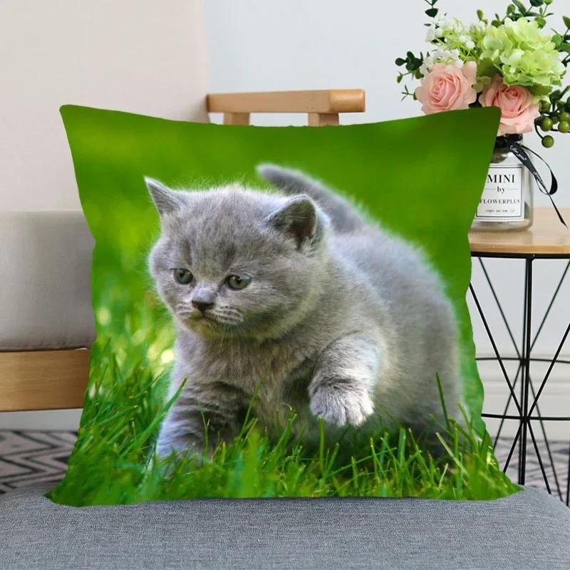 Home Decor Cute Kitten Prints for Cozy Home Decor Pattern Cushion Cover Suitable for Sofa Bedroom Car Pillow Cover