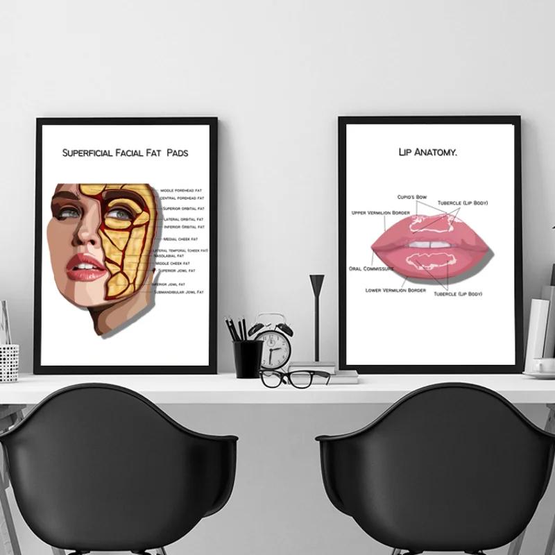 The Body Facial Anatomy Muscle Vessels Detailed Canvas Painting Human Structure Skeleton Education Poster Medical Decoracion