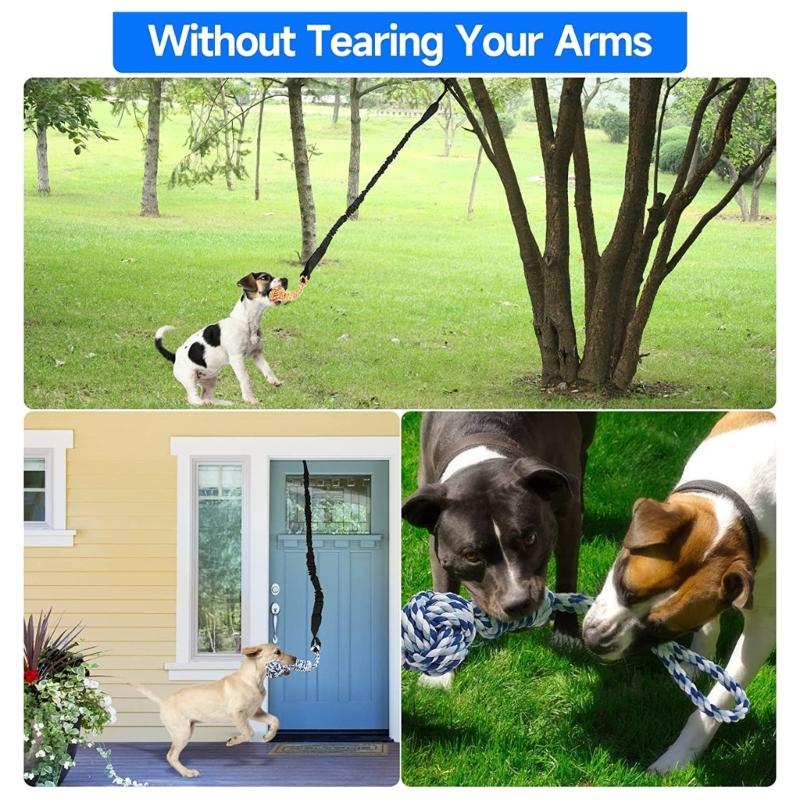 Dogs Knot Rope Toy Physical Activity Outdoor Bungee Tug Toy Knot Rope Toy Interactively Pet Mouth Clean Training Toy