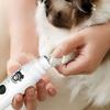 Dog nail polisher is a quiet and painless nail trimmer suitable for large dogs with USB charging, safe, efficient, and durable care