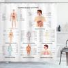 Hot New Periodic Table of Elements Shower Curtains Waterproof 3D Print White Fabric Bath Curtain for Bathroom Decor with Hooks