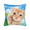 Frutiger Aero Art Pillow Case  Print Pillow Cover For Sofa Home Decoration Novelty Pillowcases