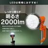 Iris Ohyama LED floodlight 2000lm LWT-2000CK2