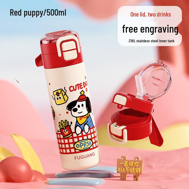 Fuguang 500ml 316L Stainless Steel Kids Thermos Bottle