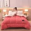Velvet Lambswool Thick Winter Quilt - Warm Bedding for Students (Autumn/Spring)