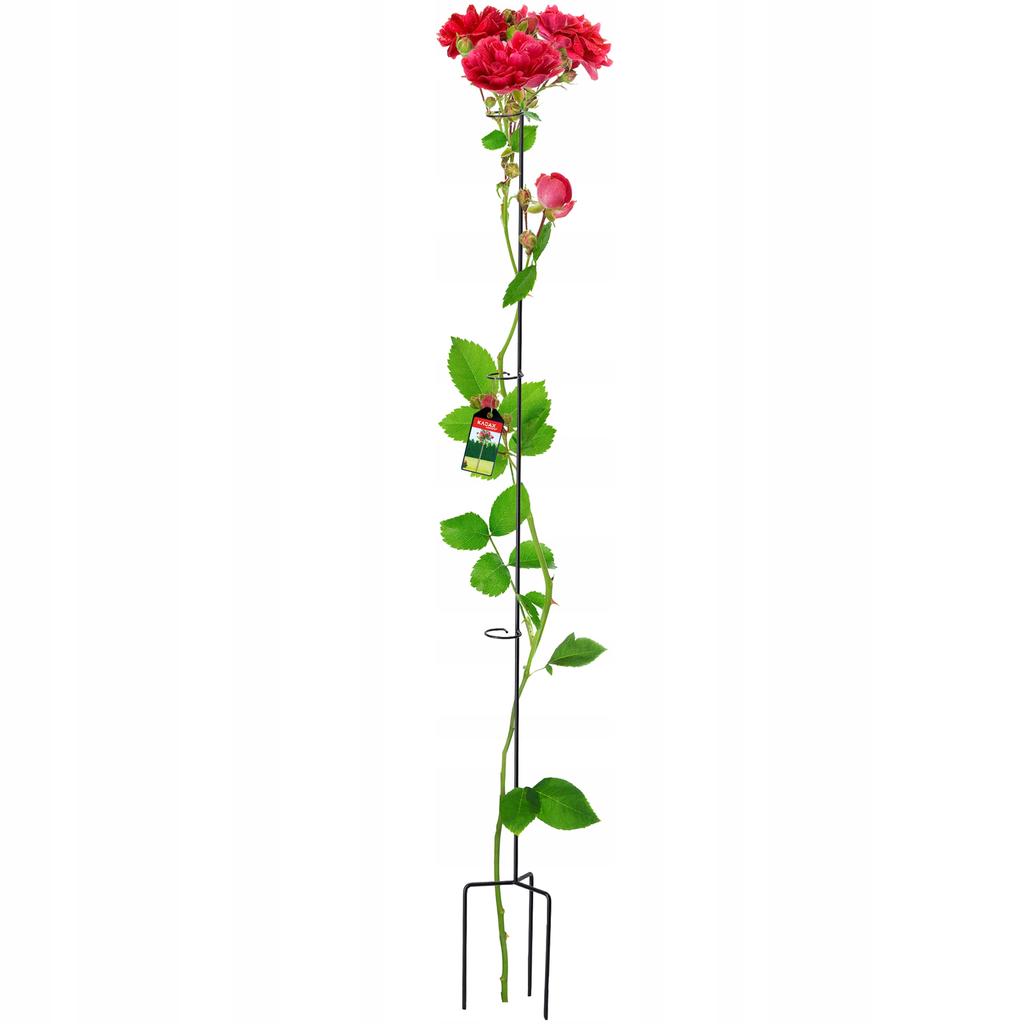 KADAX Kwietnik Stojak Obejma Podpora Stal Na Róże