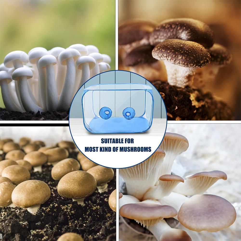 Still Air Box For Mushroom Planting Bag Mushroom Tent Propagation Stations Mushroom Grow Bags Horticulture Home Scientists Suppl