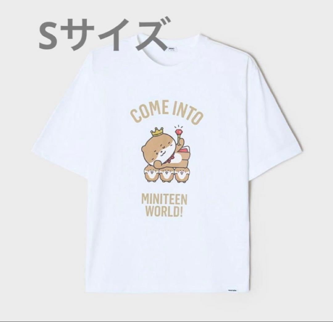 [USED] SEVENTEEN SPAO miniteen Dino Chandari