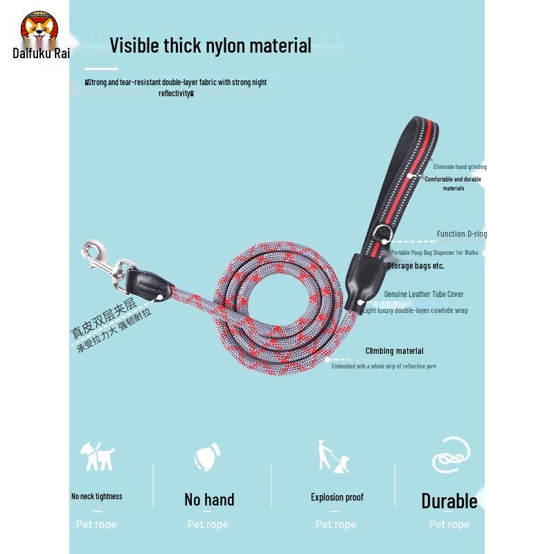 2m Anti-Shock Dog Leash with Collar for Medium & Large Breeds - Golden Retriever & Teddy Training Rope