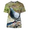 Wild Pigeon 3D Print Summer Men's O-Neck T-shirt Casual Short Sleeve OversizedPullover Fashion Streetwear Tee Tops Men Clothing