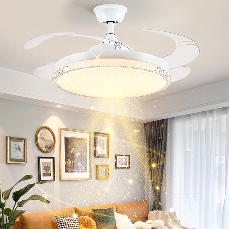 Oeny 48-inch Invisible Ceiling Fan with Full-Spectrum Light