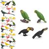 Small Hummingbird Animal Model Pvc Nature Scene Display For Childrens Classroom Use