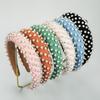 New Trendy and Elegant Headband, Colorful and High-end Hair Accessory Suitable for All Occasions for Women.