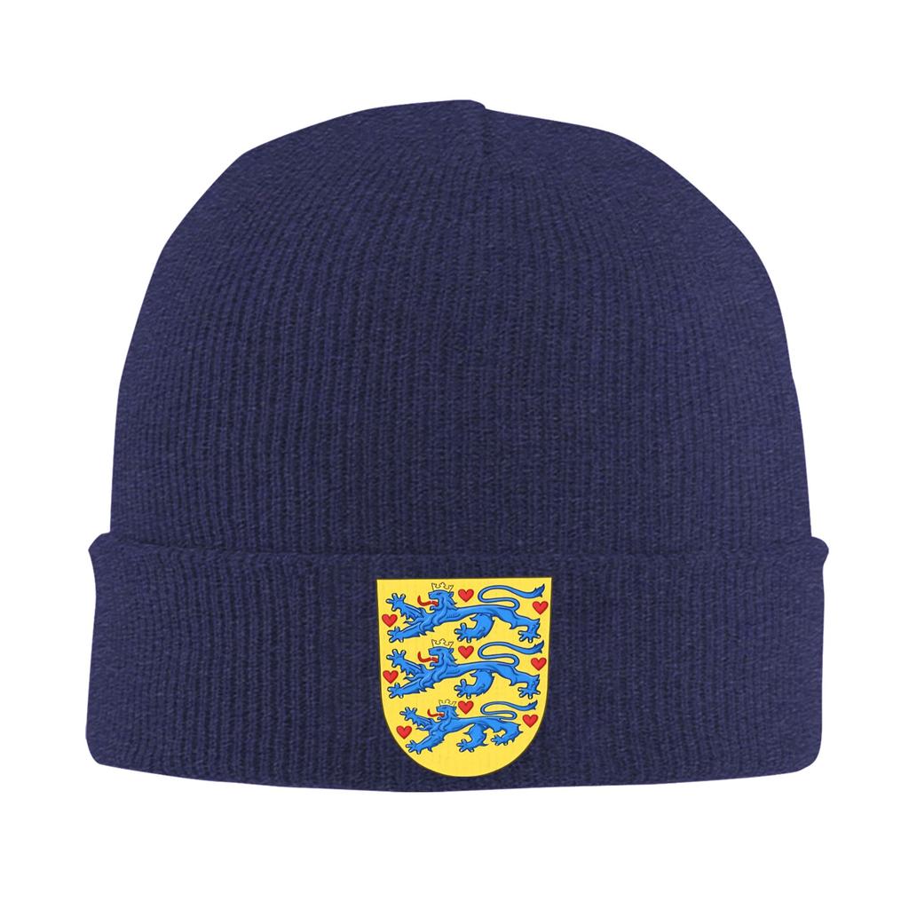 Denmark Coat of Arms Beanie Hats  Skullies Beanies Unisex Adult Funny Elastic Caps Winter Outdoor Pattern Bonnet Hats