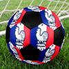 Pallone Calcio a 5 FFF Francia Colorato Cucito a Macchina PVC Misura 5 Pronto per Allenamento di Squadra Competizione Resistente Alta Rimbalzabilità Fantastico Regalo Sportivo