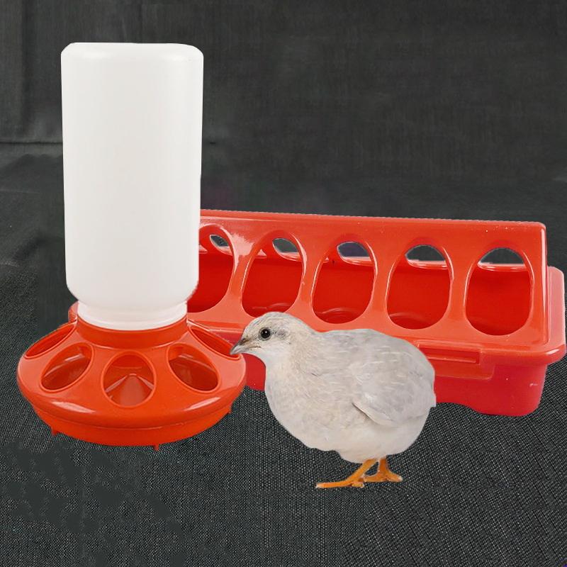 Poultry Pigeon Thickened Feeder And Drinker Water Food Dispenser Automatic Chicken Birds Chick Waterer Feeding Bucket Container