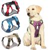 Dog Harness Vest Walking and Training Pet  Rope Harness and Leash Set Adjustable Dogs Collar Harness No Pull for French Bulldog