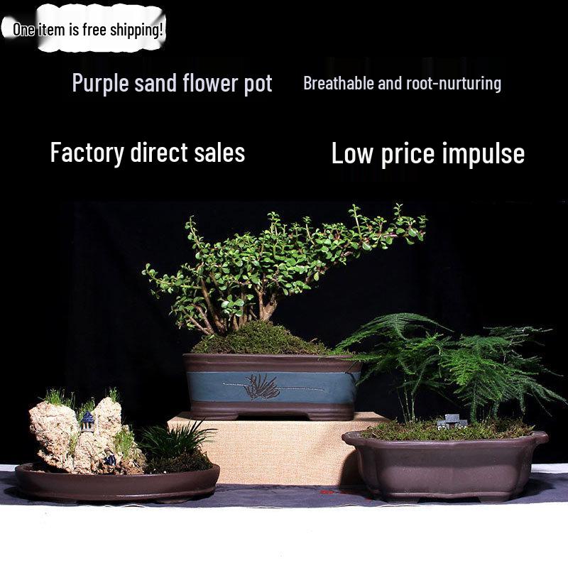 Extra-Large Breathable Purple Clay Square Bonsai Pot for Succulents and Green Plants