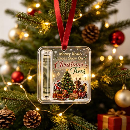 Money Gift Decor Christmas Cash Holder Ornament, Acrylic Angel Santa Cat Transparent for Xmas Tree, Holiday Party Hanging Decoration with Lanyard Easy