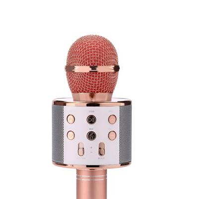 Vailaipupy Karaoke Microphone Heart-shaped Directional Voice Live Streaming LED Noise Reduction Compact Pink Home Party Gift