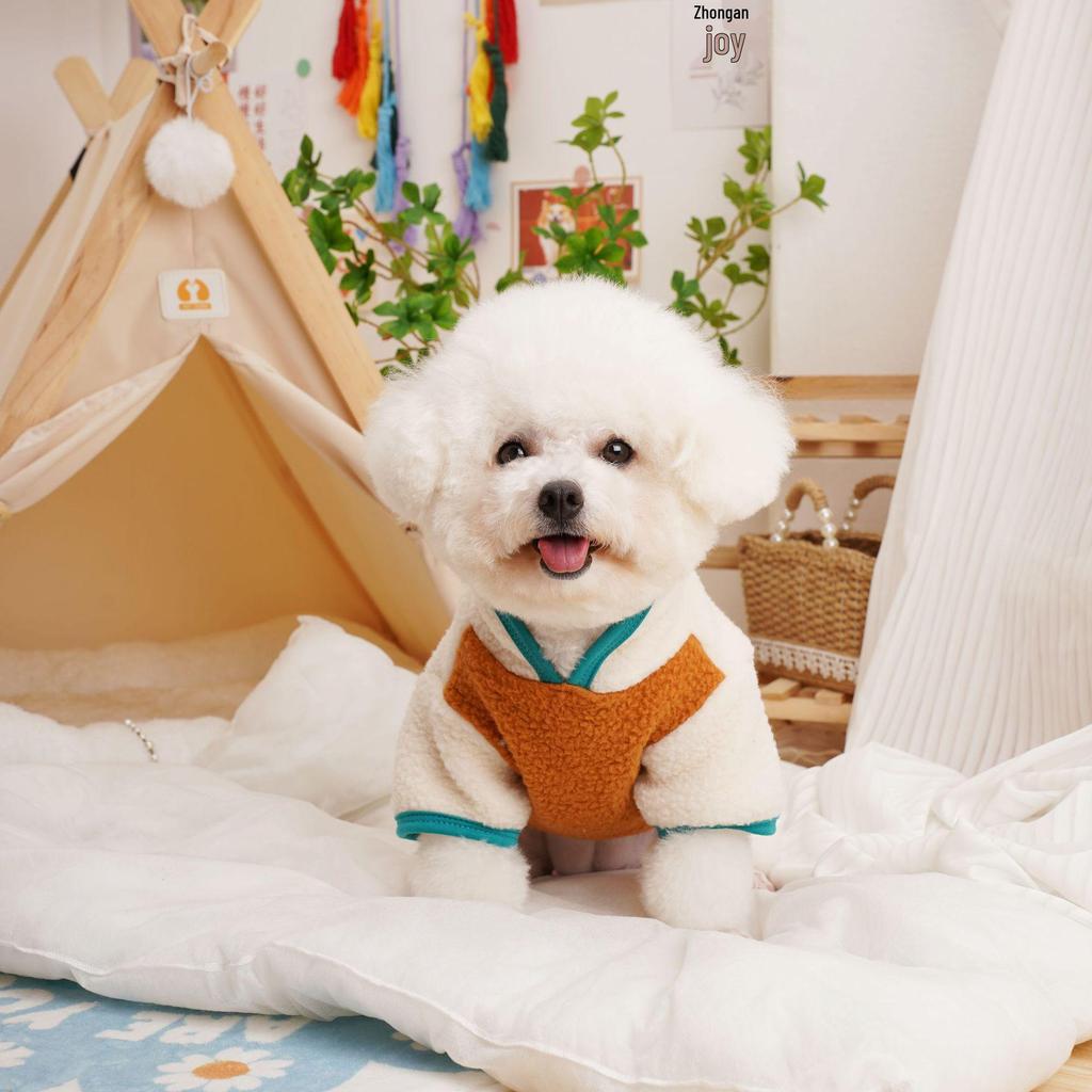 Kitten & Puppy Lamb Fleece Sweatshirt for Small Dogs - Autumn/Winter Wear