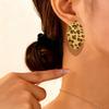 Geometric Leopard Earrings Personality Versatile Cold Punk Fried Street Earrings Earrings