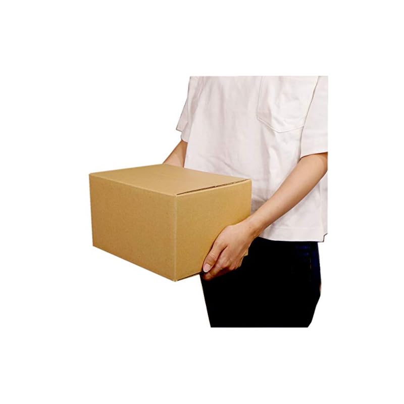 Japanese-made cardboard boxes, size 60, 10-pack, for shipping, moving, packing, and storage. (60 dB1-10)