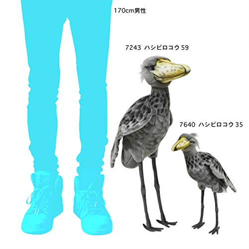 BH7640 HANSA Shoebill 35