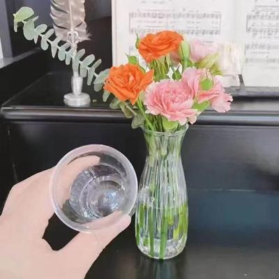 Gifts Transparent Plastic Flower Vase Bouquet DIY Supplies Hydroponic Striped Vases Home Desk Decor Flower Arrangement Container