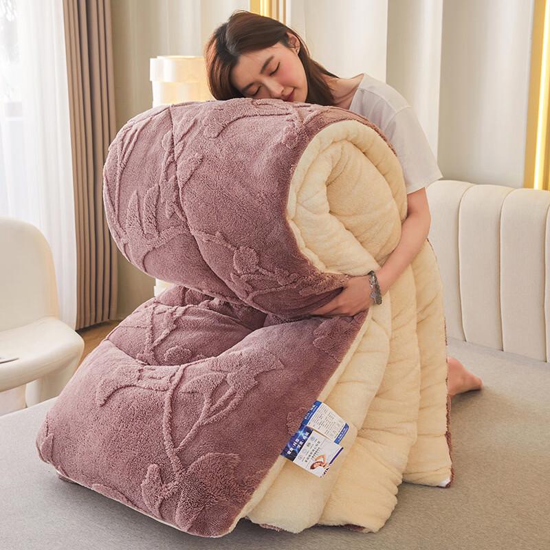 

Brangdy Thickened Double-sided Milk Velvet Winter Quilt