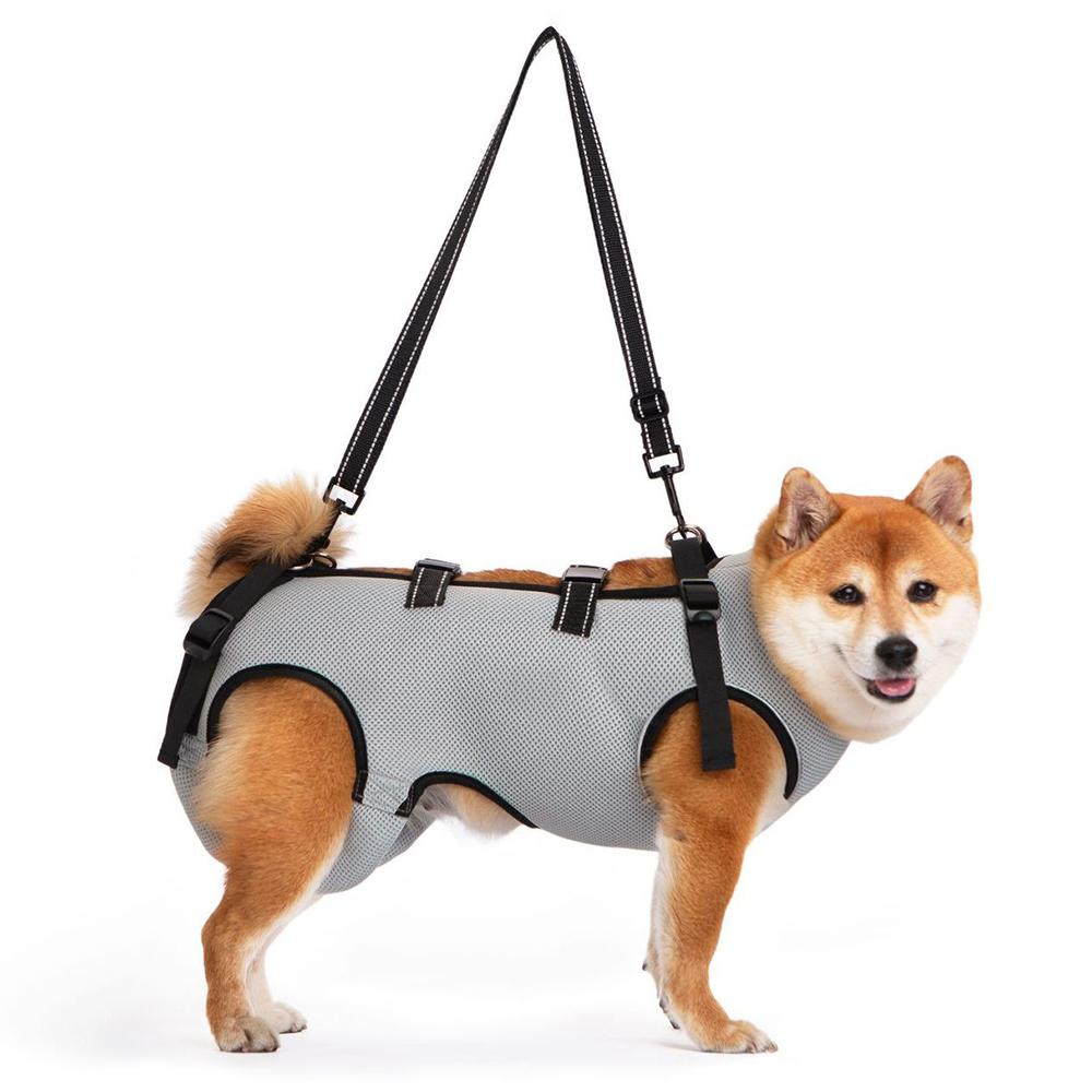 Useful Disabled Elderly Dog Exercise Assist Belt Walking Pet Rehabilitation Suit for Dogs Mascotas Auxiliary Clothing Clothes