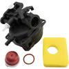 FanPaYY Carburateur De Moteurs de Tondeuse À Gazon compatible avec Briggs Stratton 799583 591160 593261 591110 Carburateur Filt