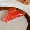 French Simple Transparent Acrylic Mesh Flower Hairpin Delicate Shark Clip Design Hair Accessories