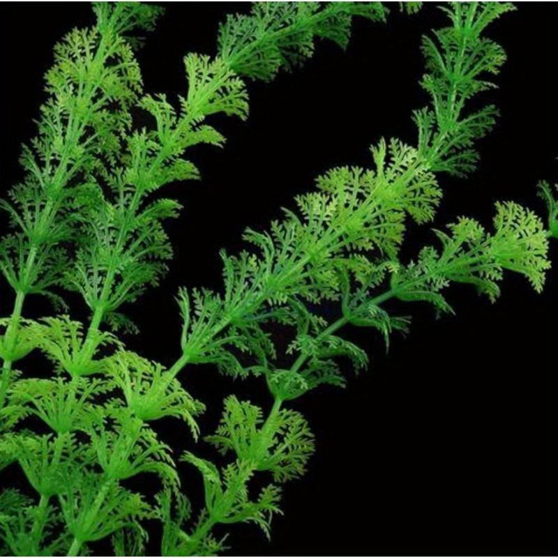 3pcs Artificial Aquarium Plants Decoration Fish Tank Water Plant Grass Ornament Plastic Underwater Aquatic Water Weeds Viewing Decor