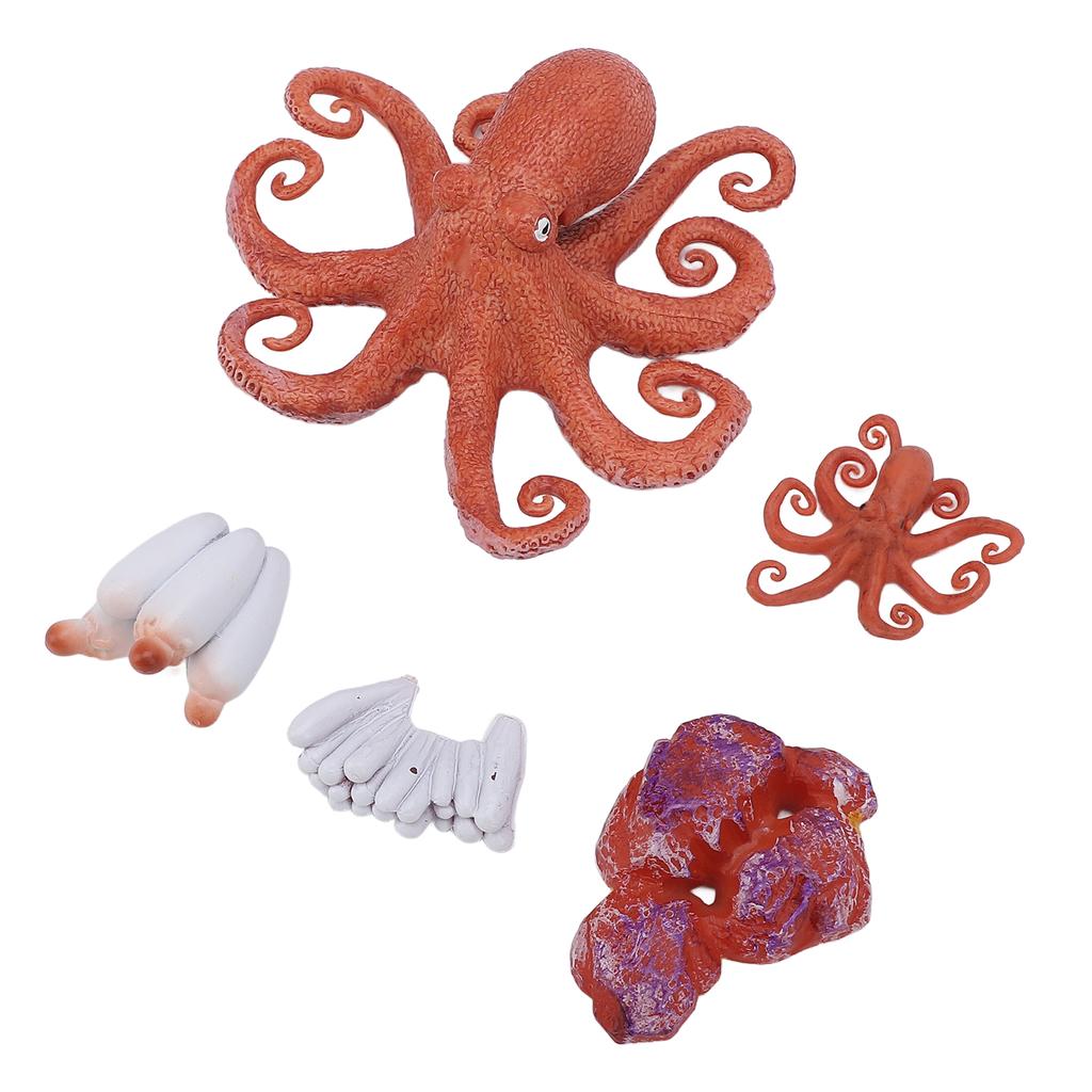 5Pcs Octopus Figurine Toy Educational Simulated Octopus Life Cycle Learning Toy Sea Animals Figurine