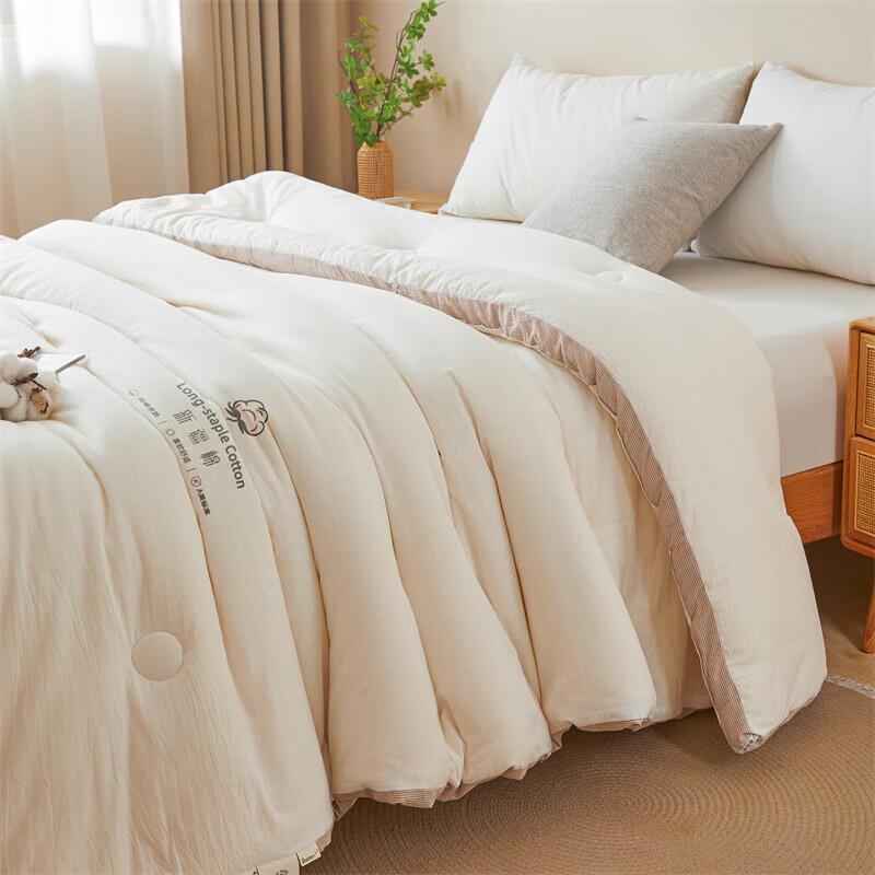 Muji Single-Hole Fiber Winter Quilt