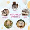 Sugar Glider Bonding Mitt Small Animals Handling Anti-bite Gloves Pet Supplies For Sugar Glider Squirrel Hamster