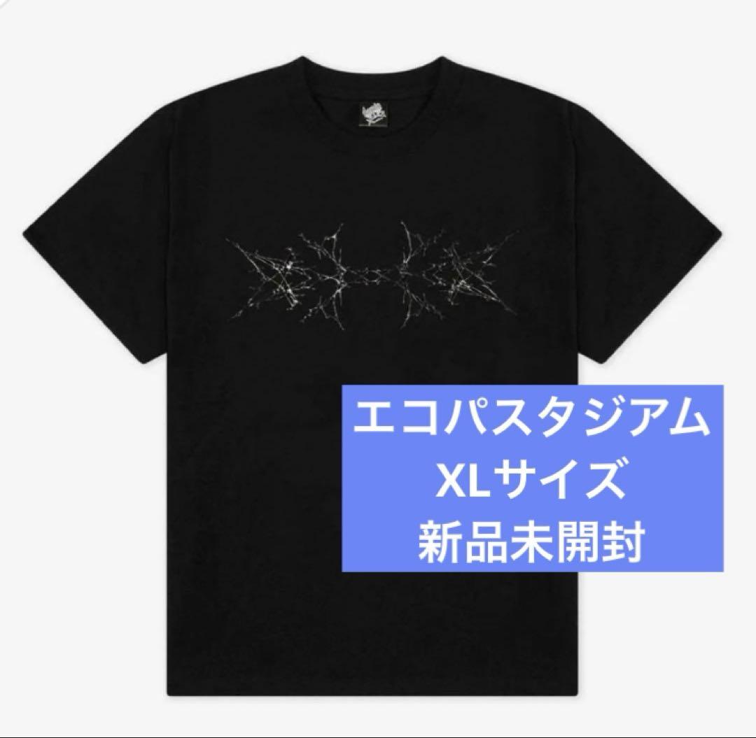 

[USED] straykids world tour Shizuoka Ecopa Stadium T-shirt XL