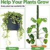 1pc Bendable Moss Pole for Plants Monstera Moss Poles for Climbing Plants  Plant Stakes for Indoor, Monstera Plant Support