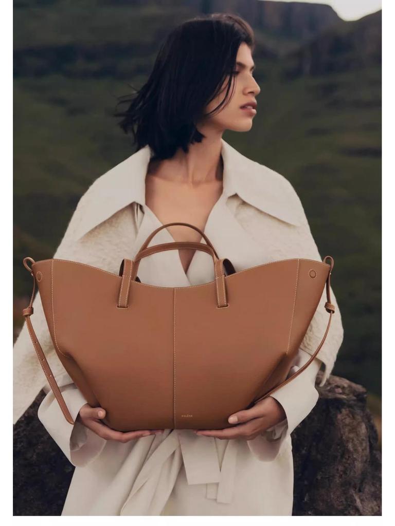 Polen Wings Cyme Light Luxury Retro French Tote & Shoulder Bag