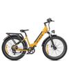ENGWE E26 ST Dual Suspension All-Terrain E-bike 250W,48V 16AH
