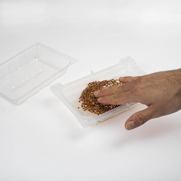 Keimbox - Browin - 745748 - Kunststoff - Radisamen enthalten - 5 Tage Keimzeit