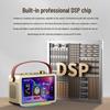 Newmine KK109 Smart Karaoke Speaker with 10-inch Display (CN version)