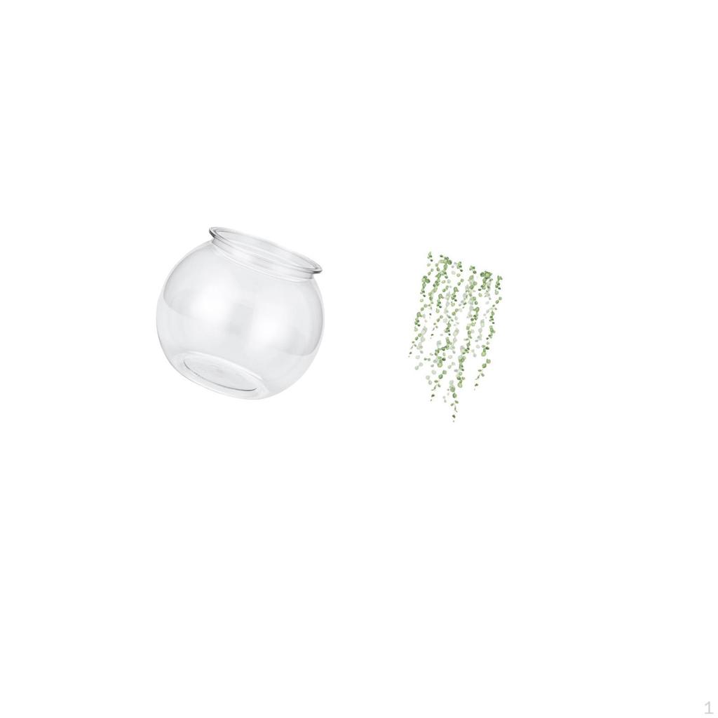 Elegant Transparent Small Fish Tank Vase with Hanging Green Plant Vines Wall for Office Home Bedroom