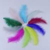 100 Pack Diy Feather Tip Down Colorful Turkey Feathers 