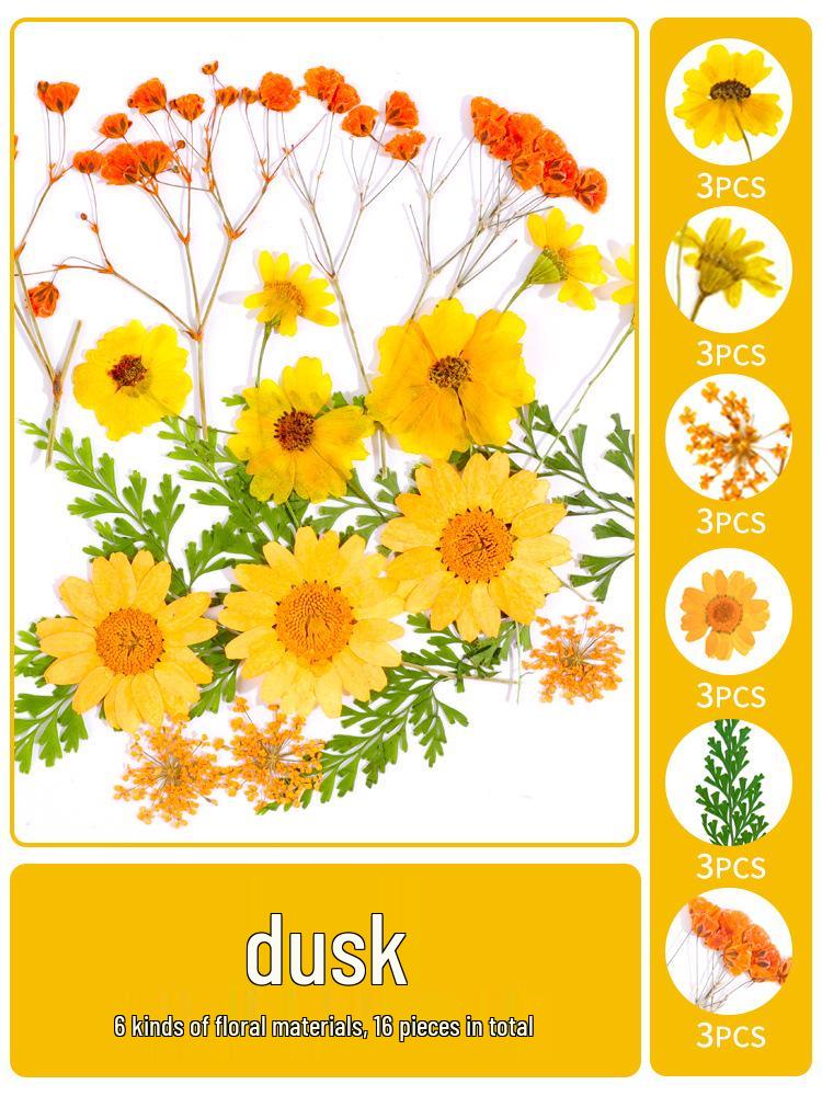 Creative DIY Bookmark Kit: Blank Cards with Embossed Dried Flowers and Leaves