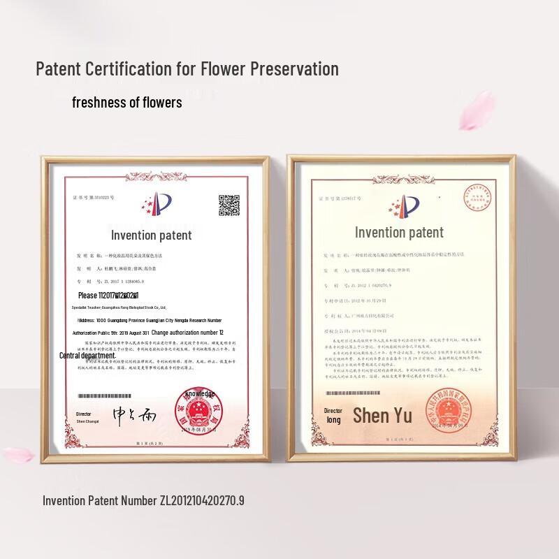 Cherry Blossom Amino Acid Shower Gel