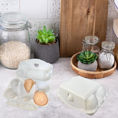SLMYCAO Paper Egg Cases, Egg Racks, Egg Containers, 6-Piece Egg Trays, Egg Holders, Storage Boxes with Lids, 20-Pack (White)