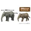 Takara Tomy Ania AL-26 African Elephant Animal Toy 3+