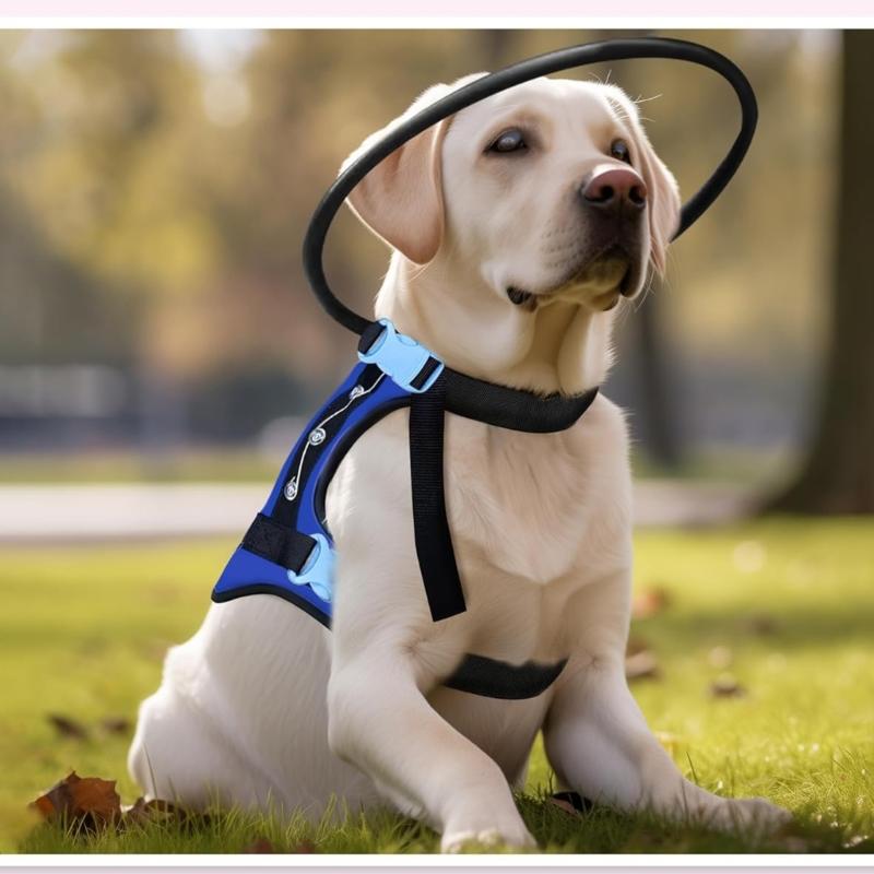 Dispositivo di Assistenza alla Sicurezza per Animali da Compagnia Pettorina Combinata con Paracolpi e Guinzaglio Regolabile per Cani Piccoli e Medi Uso Interno ed Esterno